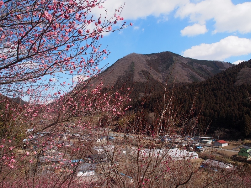 b0335256_22284420.jpg