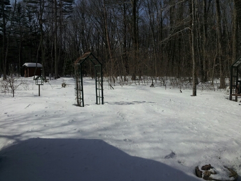 e0088260_22201682.jpg