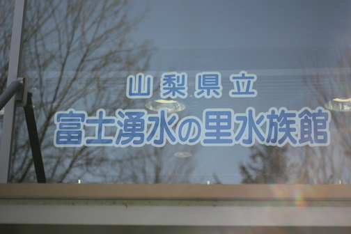 e0201060_21180832.jpeg