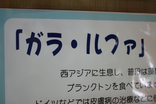e0201060_21200219.jpeg