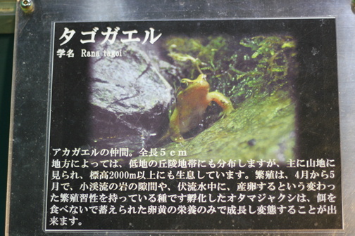 e0201060_21314880.jpeg