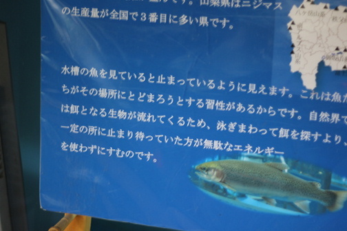 e0201060_21424533.jpeg