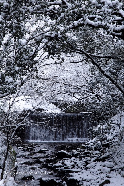 f0251765_17292052.jpg