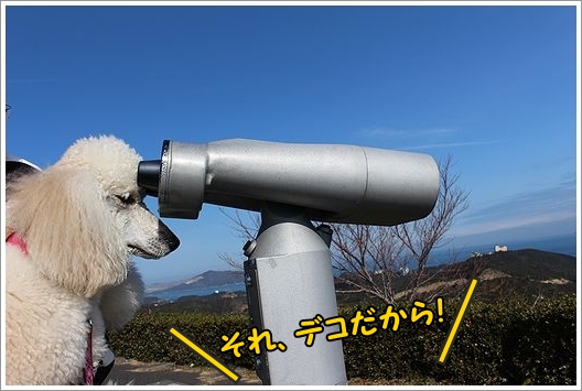 b0111376_11234815.jpg