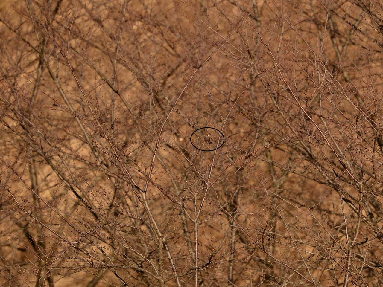 d0157380_1821346.jpg