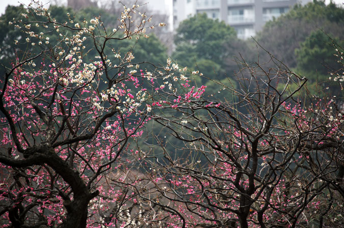 a0263109_13393645.jpg