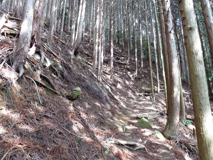 e0077010_8311396.jpg