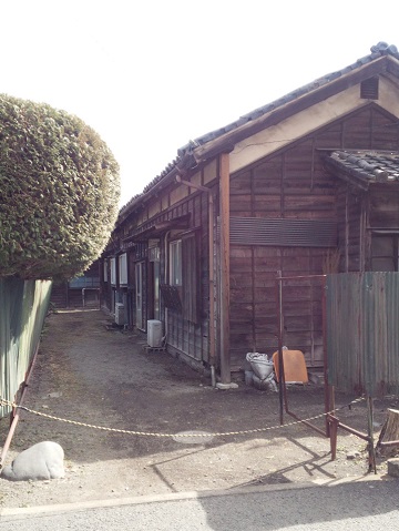 a0024829_1431328.jpg