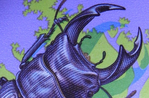 c0337631_10402418.jpg