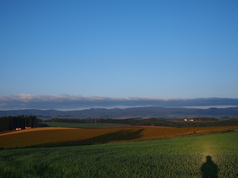 b0042334_20403579.jpg
