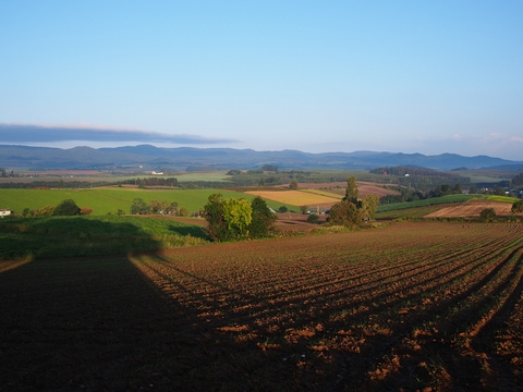 b0042334_20404416.jpg