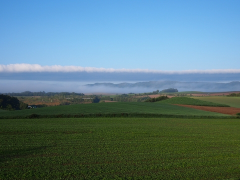b0042334_20411659.jpg