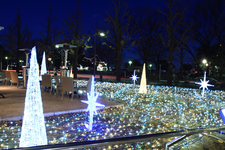 e0166336_0223818.jpg