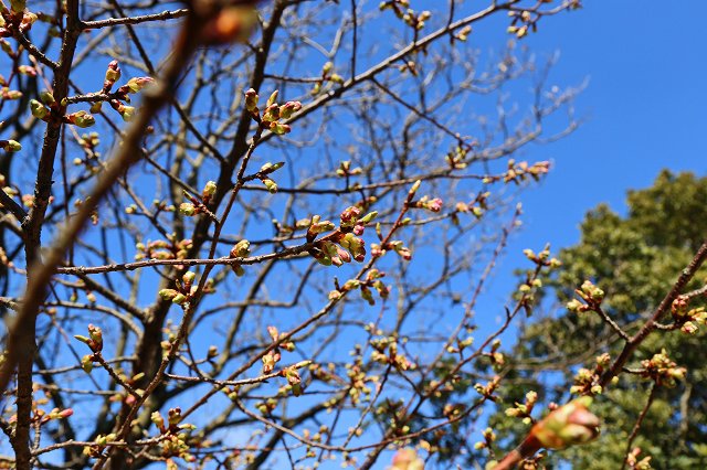 a0242438_18414616.jpg
