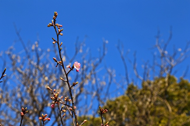a0242438_18415123.jpg