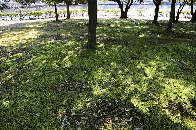 a0242438_18425030.jpg