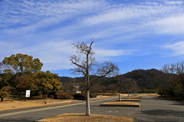 a0242438_18442559.jpg