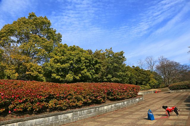 a0242438_18443067.jpg
