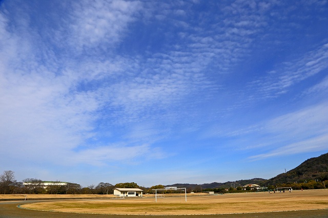 a0242438_18444859.jpg