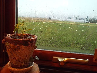 a0272241_21512141.jpg