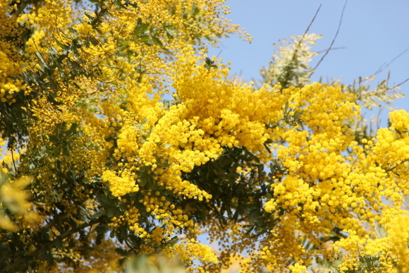 e0234741_00441245.jpg
