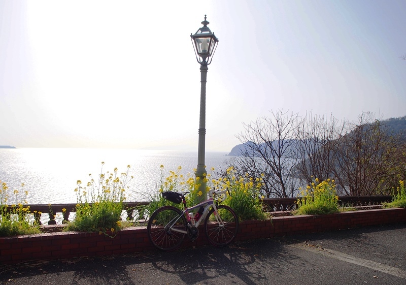 c0214259_21323636.jpg