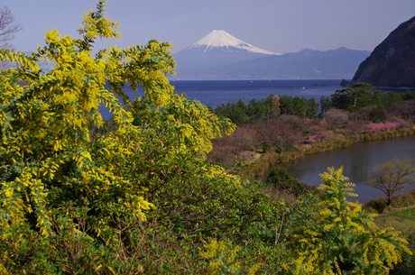 d0229560_10431944.jpg