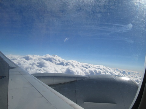 d0029363_2238517.jpg