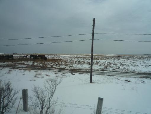 f0032265_2046516.jpg