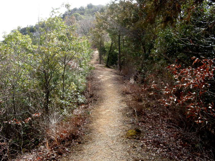 b0185573_17274228.jpg