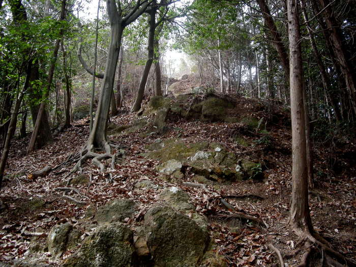 b0185573_1750112.jpg