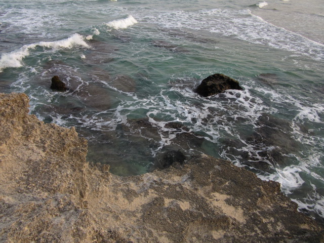 d0109373_18135872.jpg
