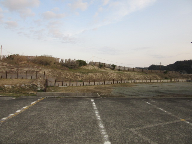 d0109373_2565359.jpg