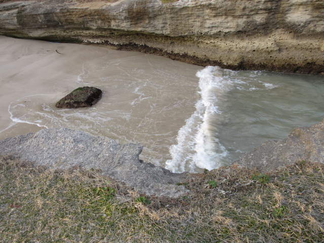 d0109373_3374727.jpg