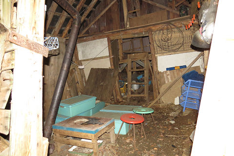 c0002874_1014350.jpg