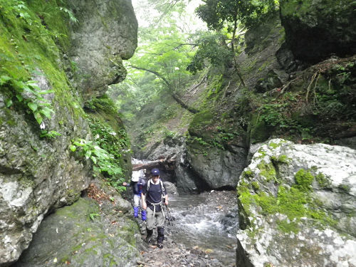 c0002874_10403905.jpg