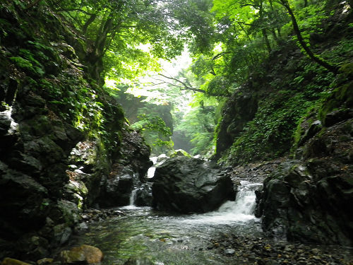 c0002874_10404304.jpg