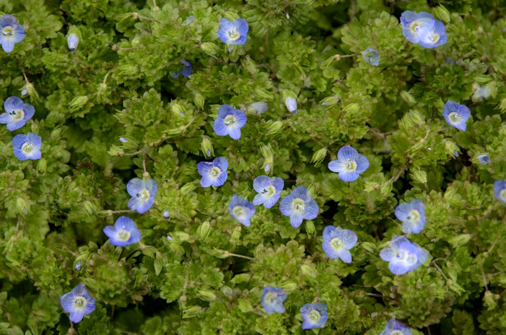 f0108478_2030242.jpg