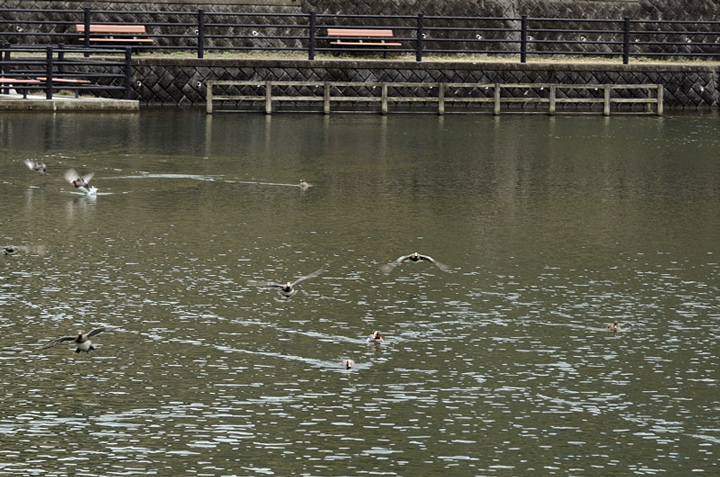 f0108478_20393071.jpg