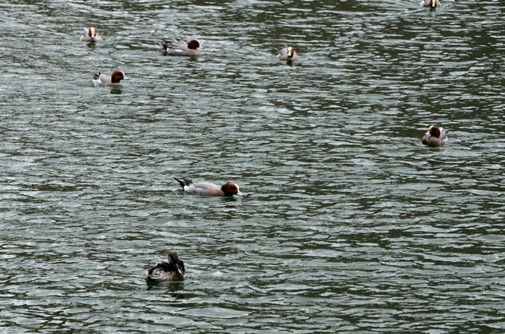 f0108478_20401193.jpg