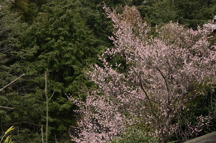 f0108478_20454944.jpg