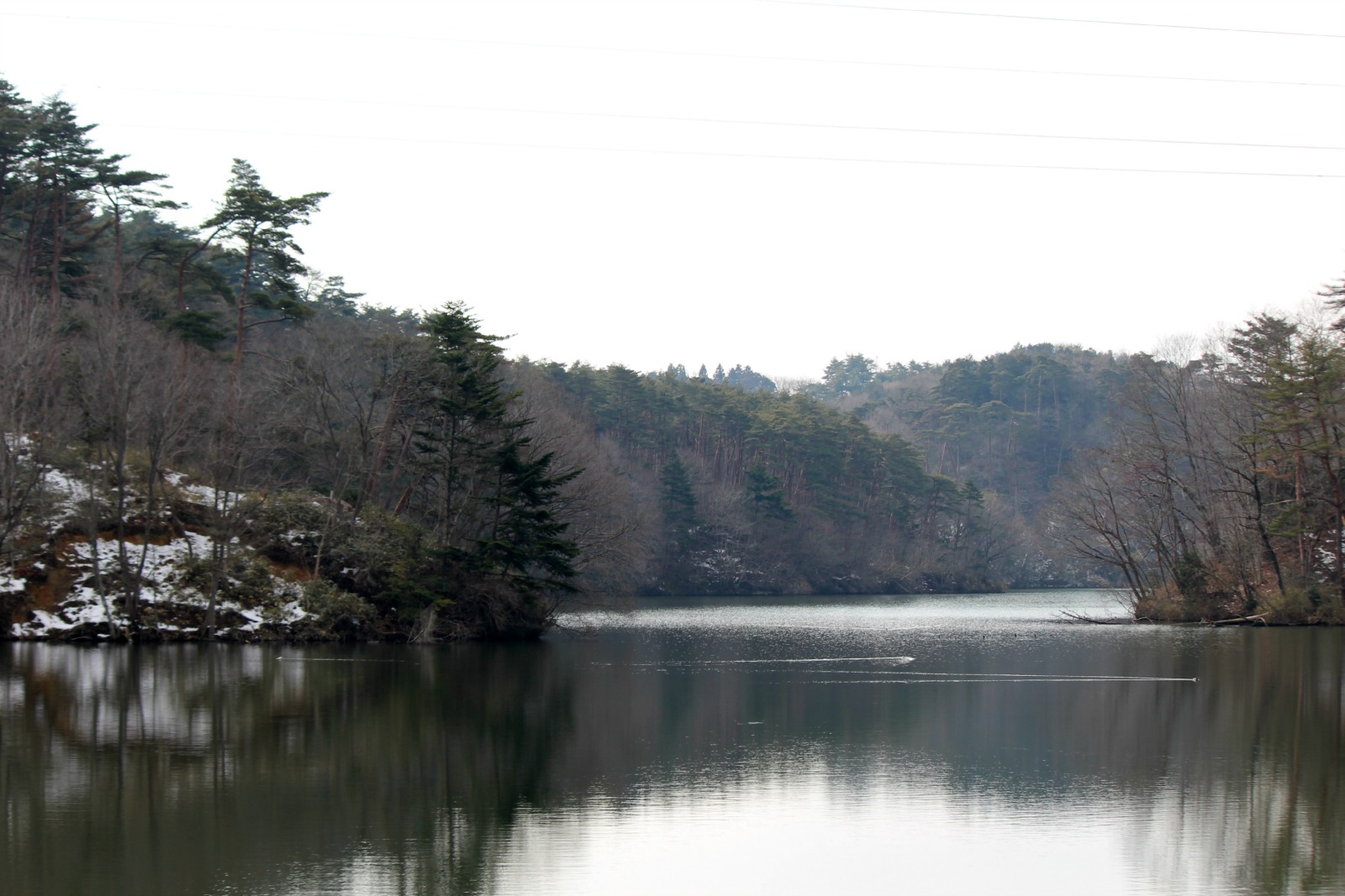 a0127090_14201157.jpg