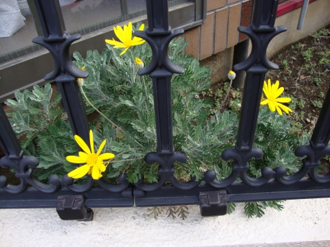 c0322794_122835.jpg