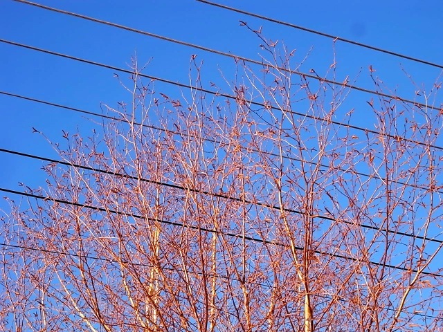 e0250594_17202763.jpg
