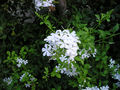 a0019212_16154636.jpg