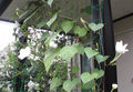 a0019212_179990.jpg