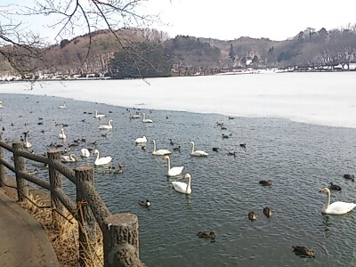 a0013115_22372866.jpg