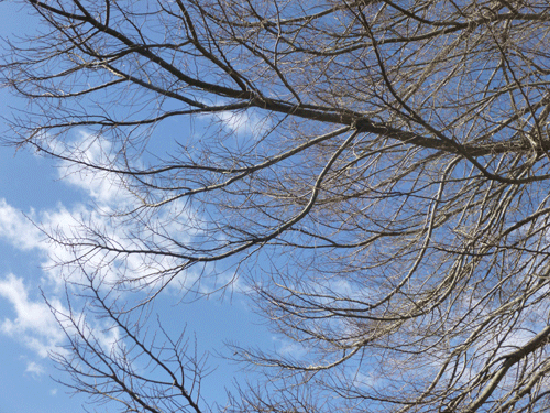e0312121_2246294.gif
