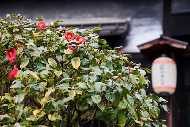 a0242438_2013529.jpg