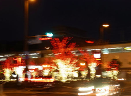 b0075364_11401883.jpg